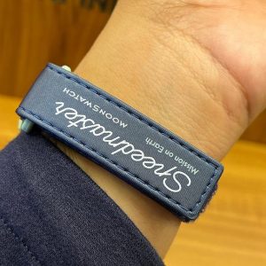 Omega Moonswatch Earth