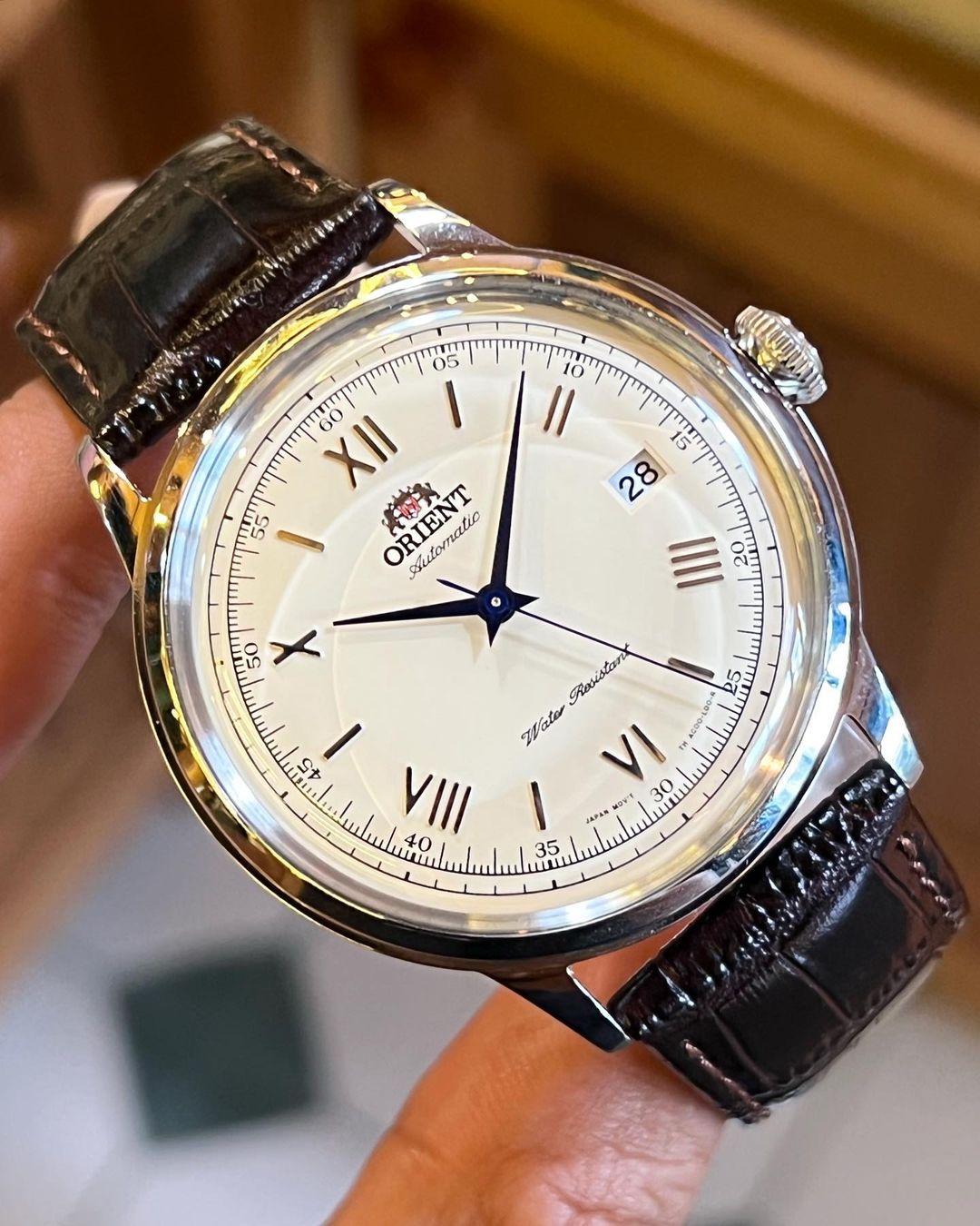 Jual on sale orient bambino